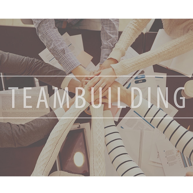 Pourquoi organiser une activité team building ?