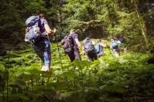 Séminaire au vert randonnée